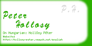 peter hollosy business card
